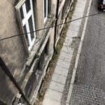 IMG_2531